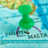 Maltese language